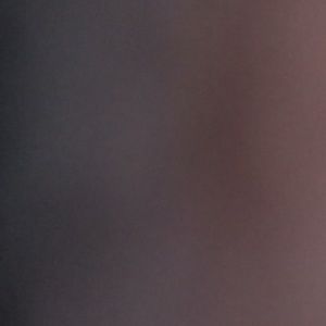 Meet your Posher, Terinea